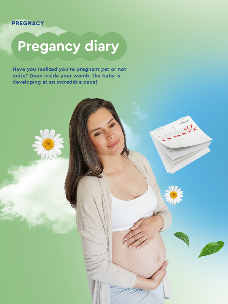 pregnancy-diary-en