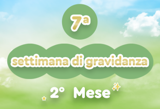 7h_evdomada