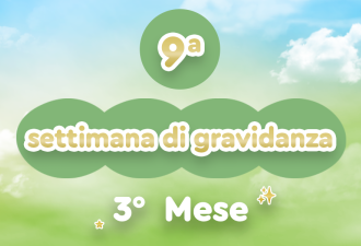 9h_evdomada
