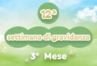 12h_evdomada