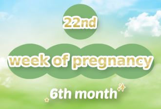 22th week