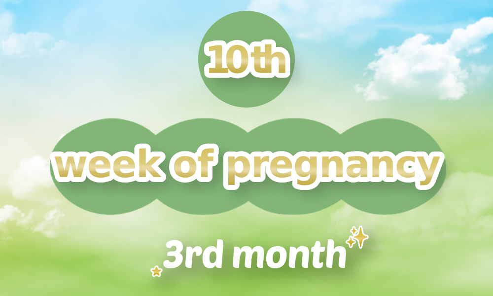 10th-week