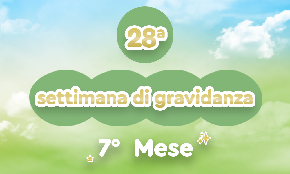 28h_evdomada