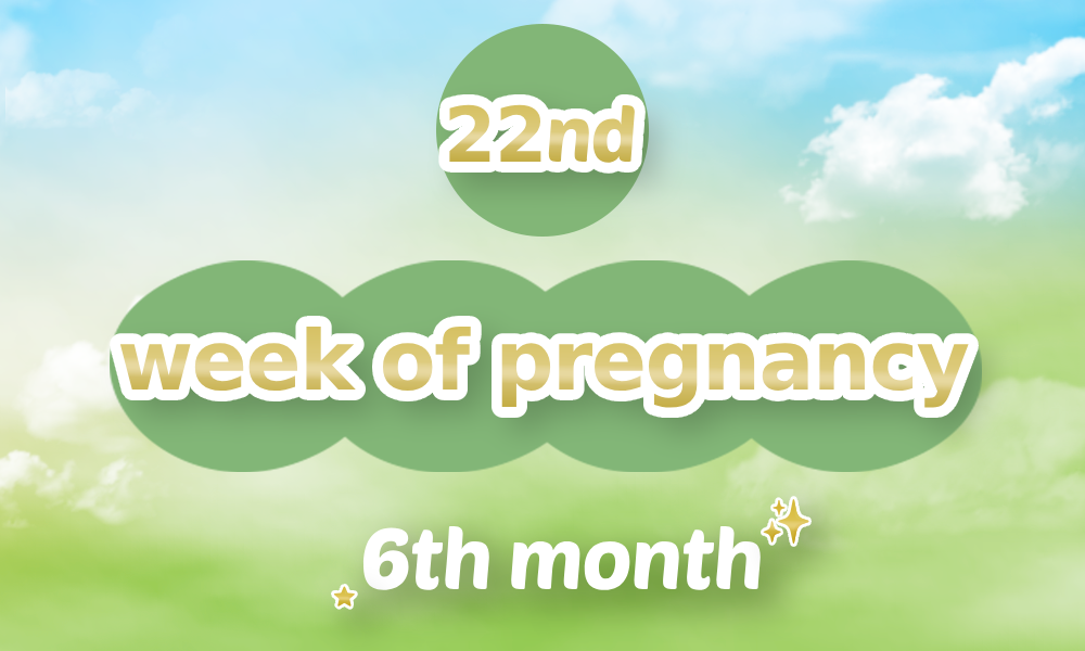 22th week