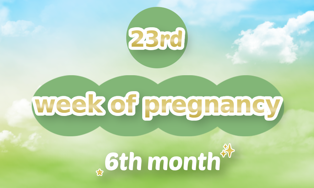 23th week