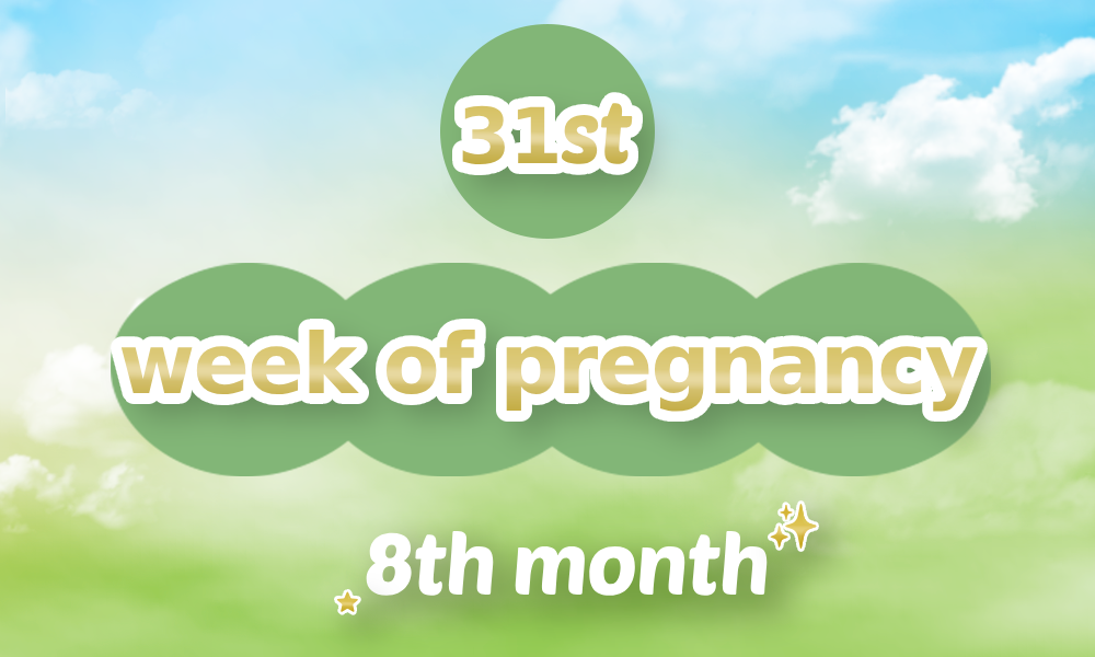 31th week